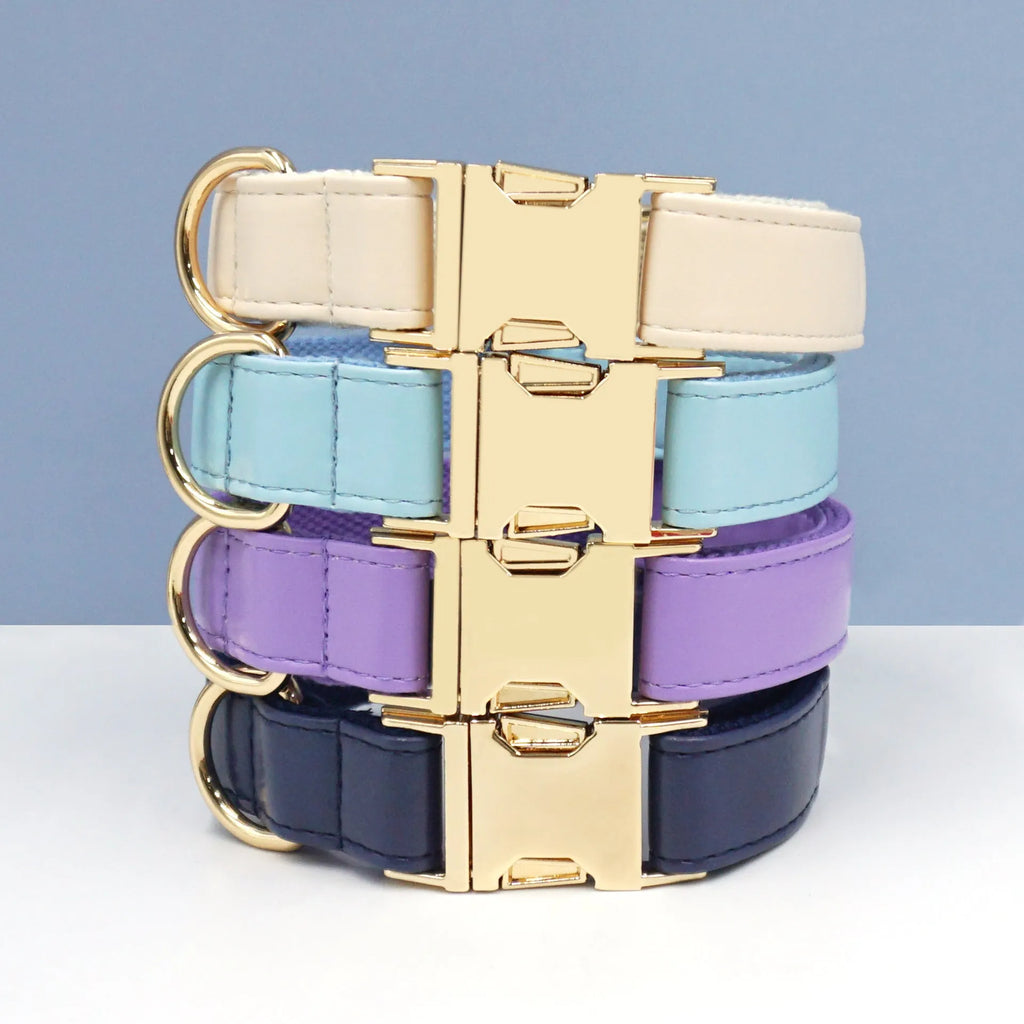 Leather dog collar with colour-block velvet design shown in multiple colour options