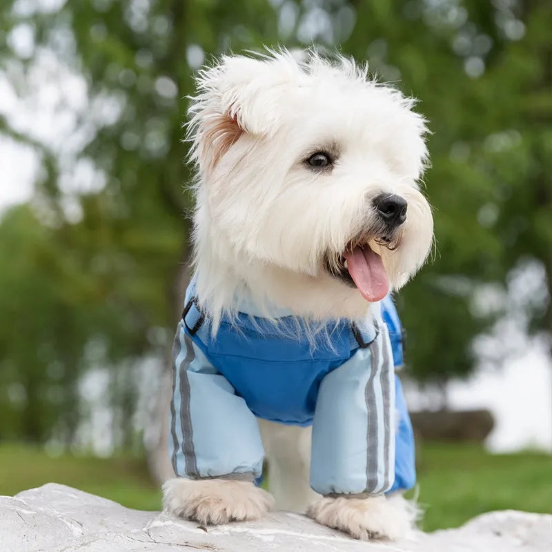 Autumn winter dog raincoat for small medium dogs windproof waterproof four-legged cotton coat with reflective stripes blue colour