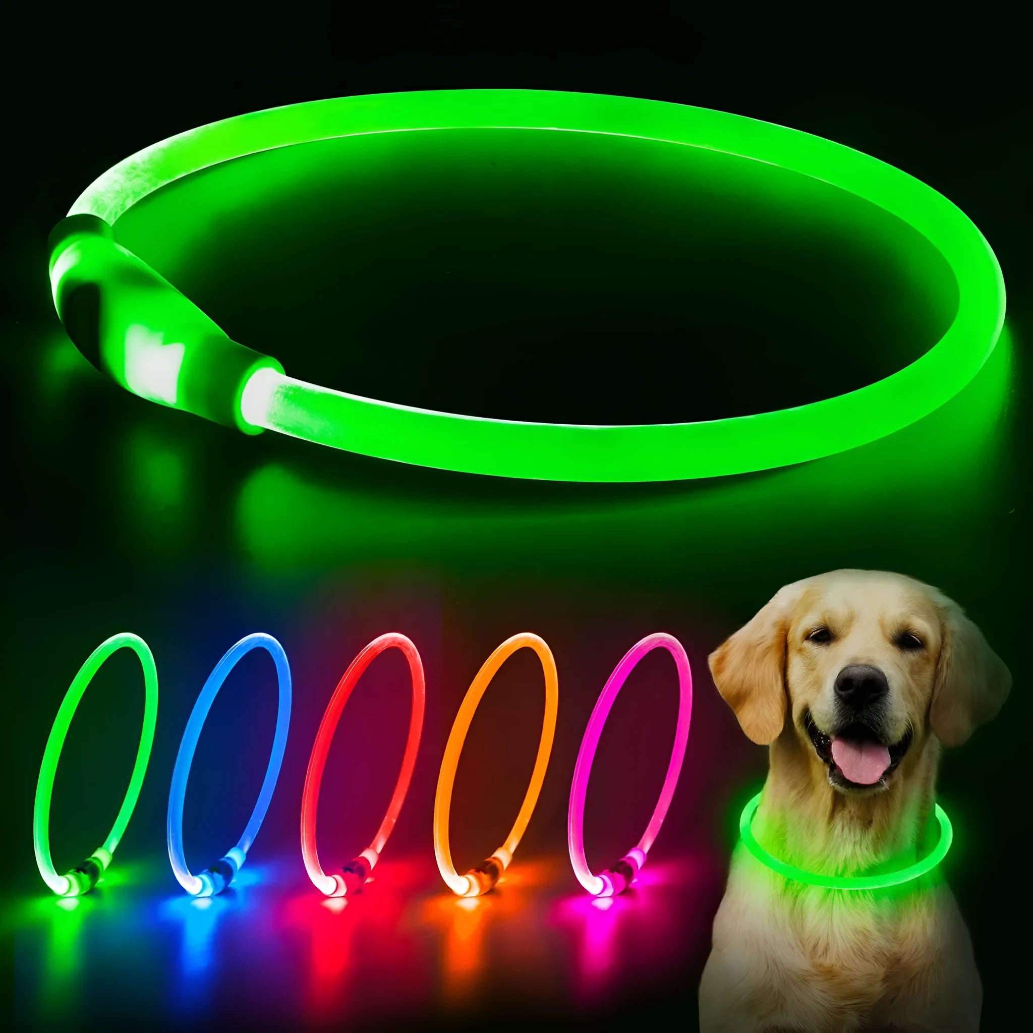 Blue USB-rechargeable LED dog collar glowing on a dog's neck, showing the 70cm adjustable TPU strap.