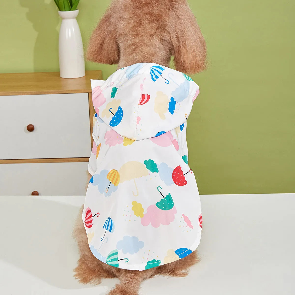 Cartoon umbrella pattern dog raincoat in colourful design with polyester construction