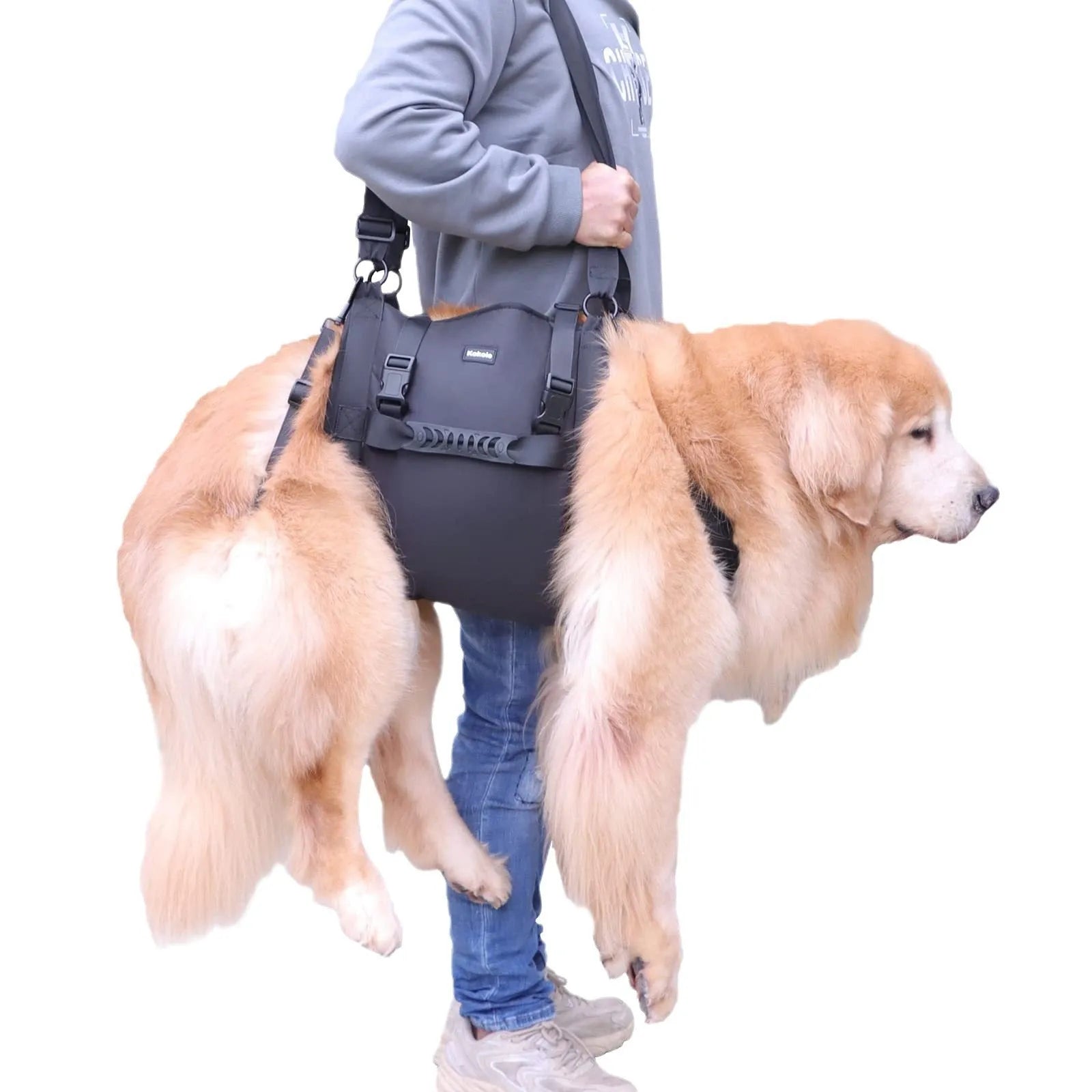 Black Oxford cloth dog support harness for rehabilitation and controlled walking, showing breast strap design.