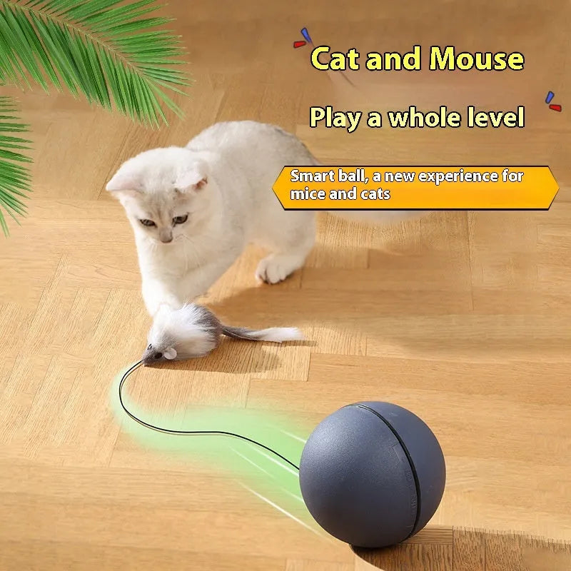 Automatic cat teasing ball with plush mouse in blue orange or dark grey colours