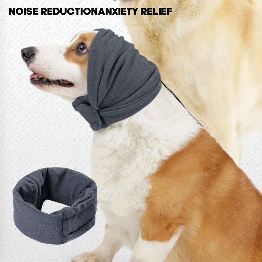 Dog wearing noise reduction hoodie with ear covers in black colour