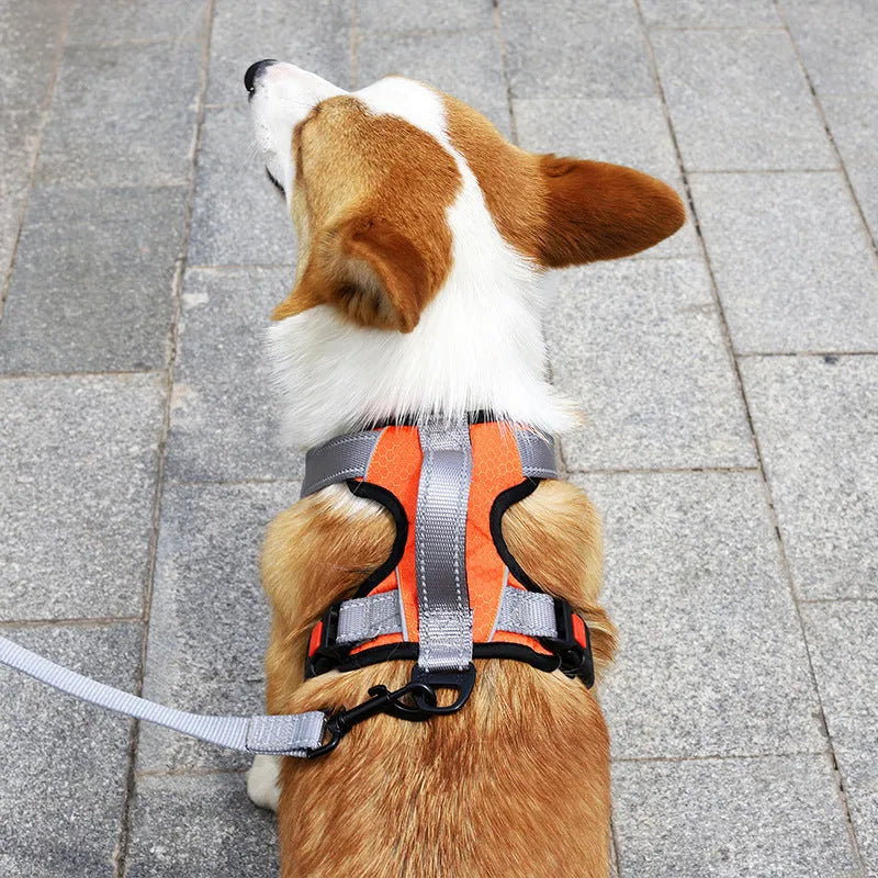 Adjustable dog vest with chest strap and hand-holding rope in multiple colour options