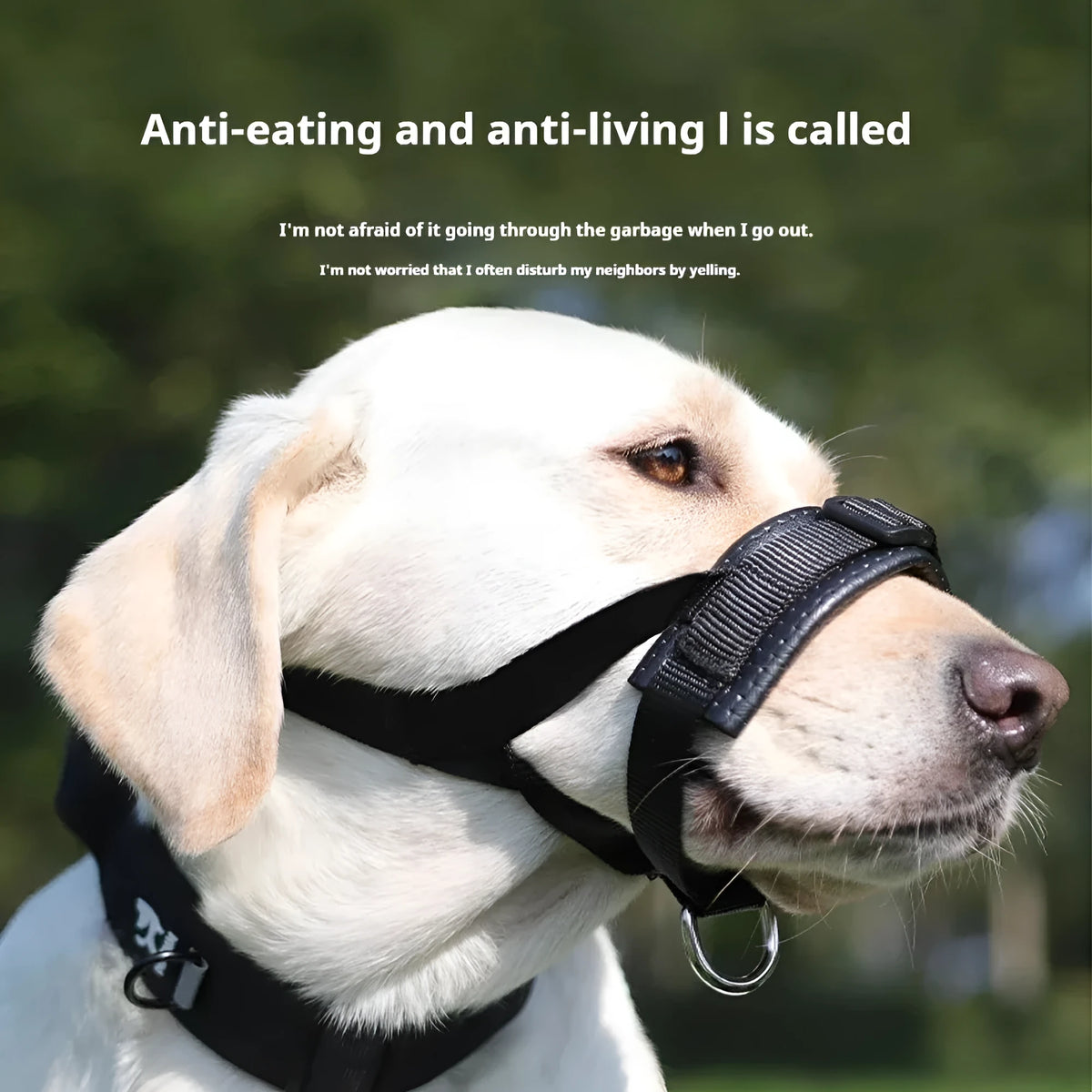 Adjustable dog muzzle with soft foam padding and strap, shown in size S, M, L, or XL.