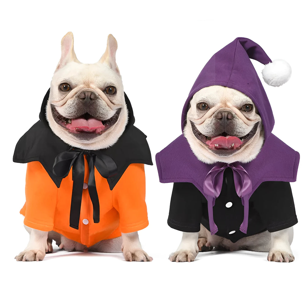 Black and orange Halloween pumpkin dog sweater and shawl set on model dog