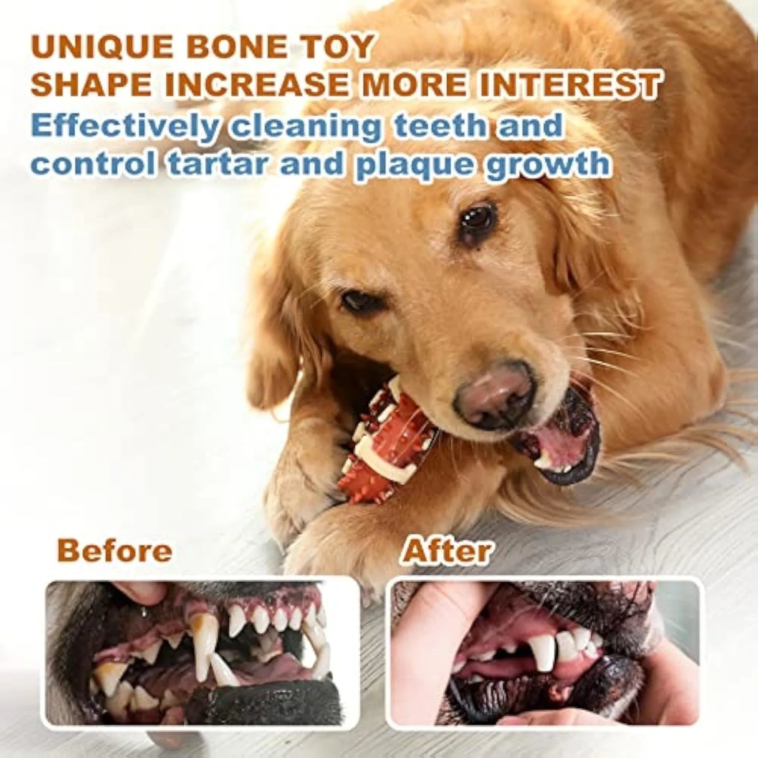 A natural rubber bone-shaped dog molar chew toy for teeth cleaning, shown in two sizes.