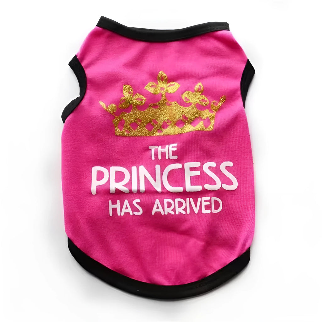 Cotton puppy vest for summer in multiple colour options on a small dog