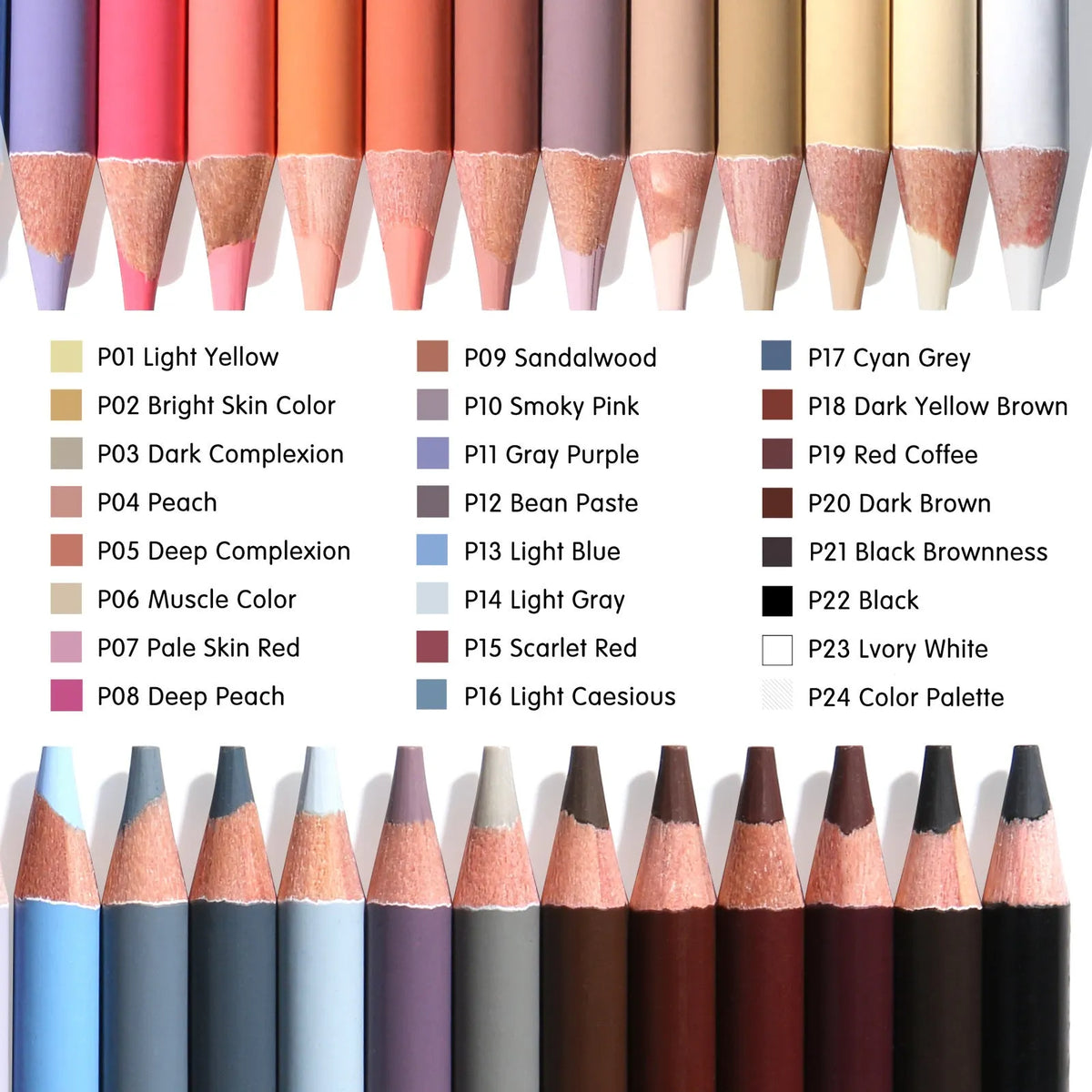 24-colour skin tone pencils for portrait artwork in metal tin case