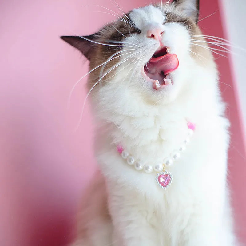 Pet cat beads love necklace in red, pink or black bead colourway, ABS bead and alloy, sizes S M L