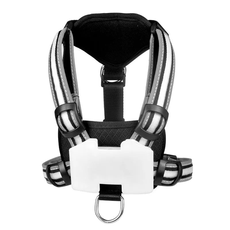 Nylon dog lead with luminous seven-colour strap and explosion-proof handle in adjustable sizes
