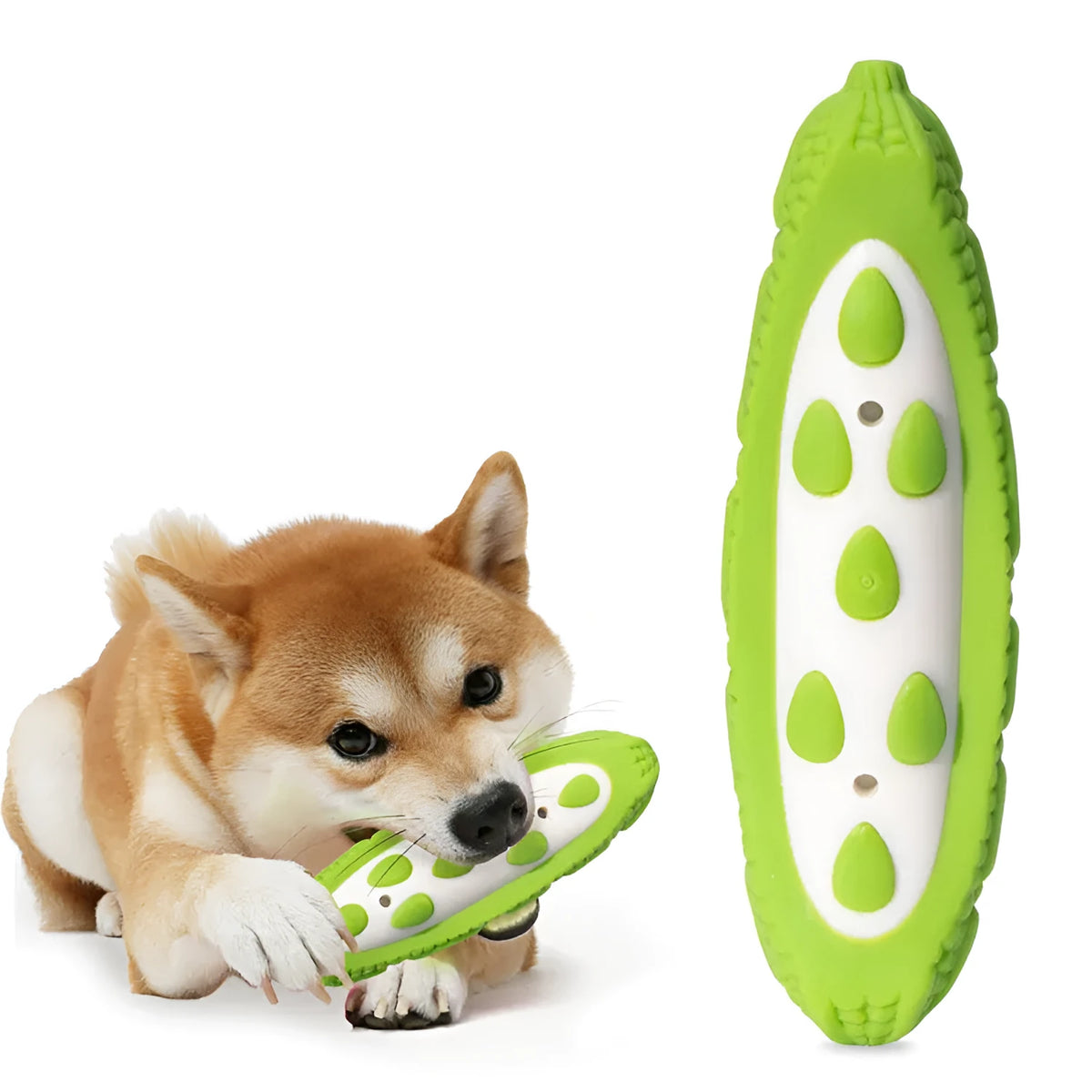 Green and purple TPE dog chew toys in large and small sizes with meat scent