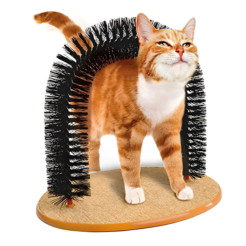 Plastic cat grooming arch with built-in brush bristles for scratching and rubbing