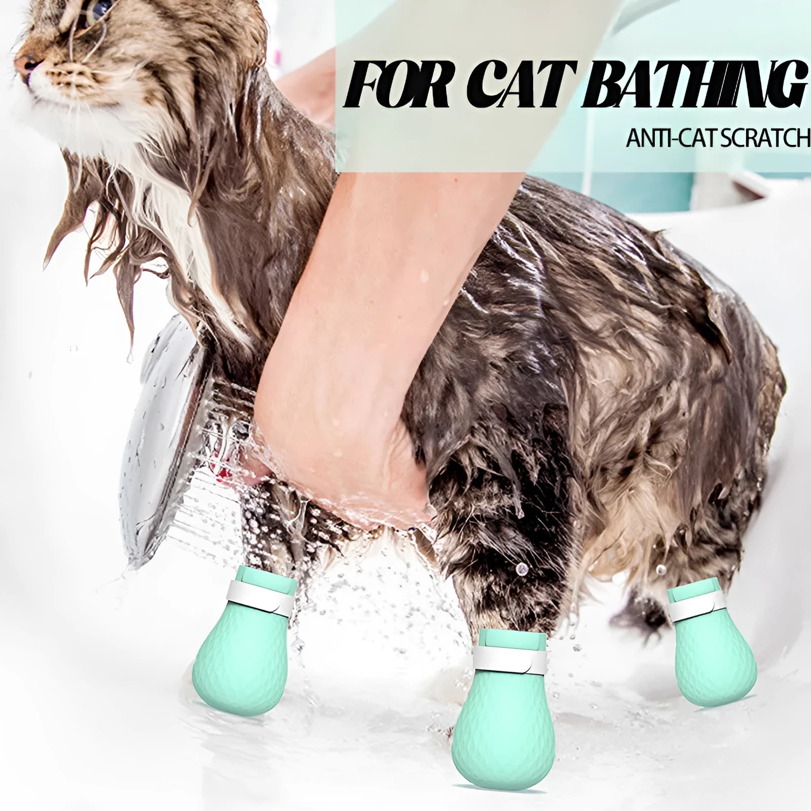 Four silicone cat paw covers for anti-scratch protection during grooming and care