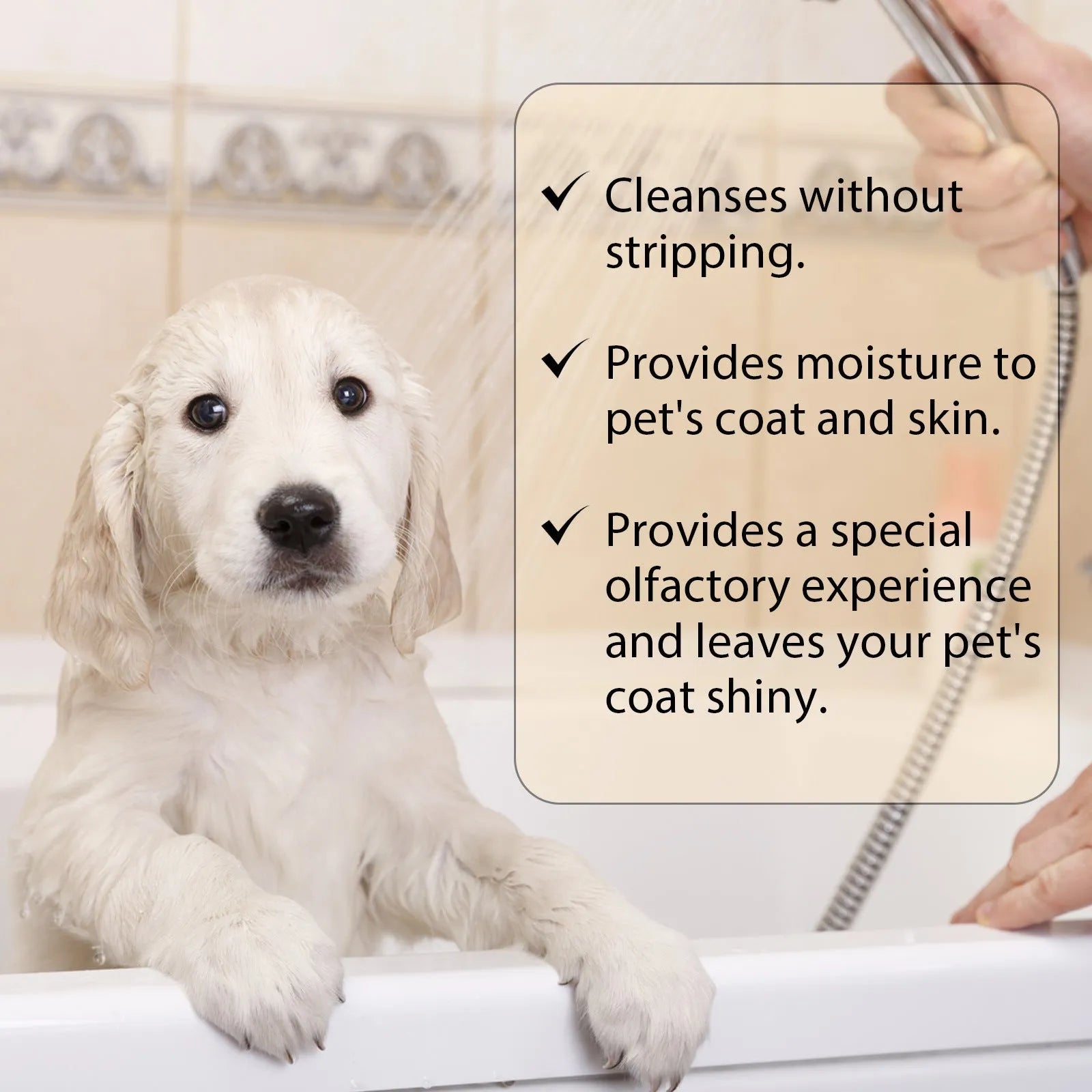 Bottle of dog shampoo for cleaning and softening fur while reducing tangles