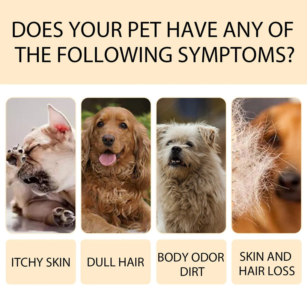 Bottle of dog shampoo for cleaning and softening fur while reducing tangles