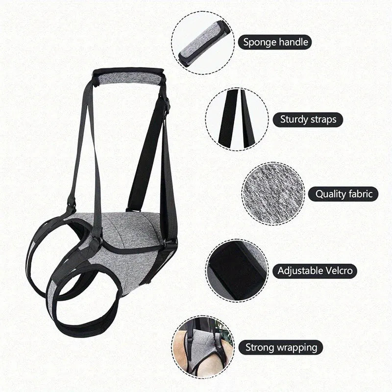 Grey neoprene dog rear leg recovery belt showing adjustable waist and thigh straps on a size chart.