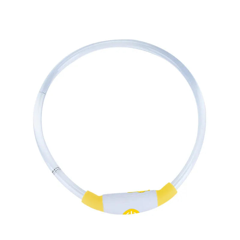 Blue USB-rechargeable LED dog collar glowing on a dog's neck, showing the 70cm adjustable TPU strap.