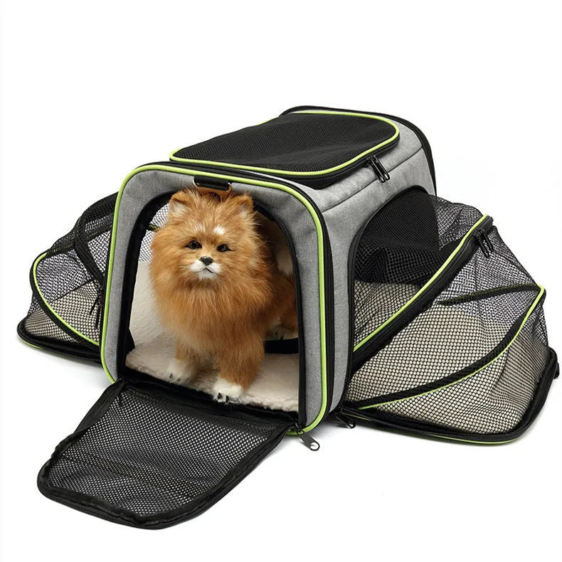 Cat carrier bag made from 600D cation fabric in small and large sizes with multiple colour trim options