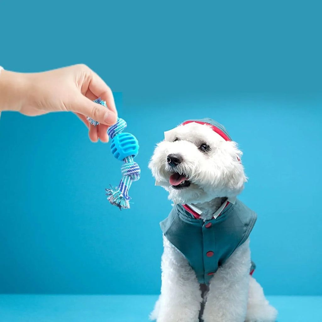 Blue dog chew toy with rope texture for cleaning teeth and oral health.