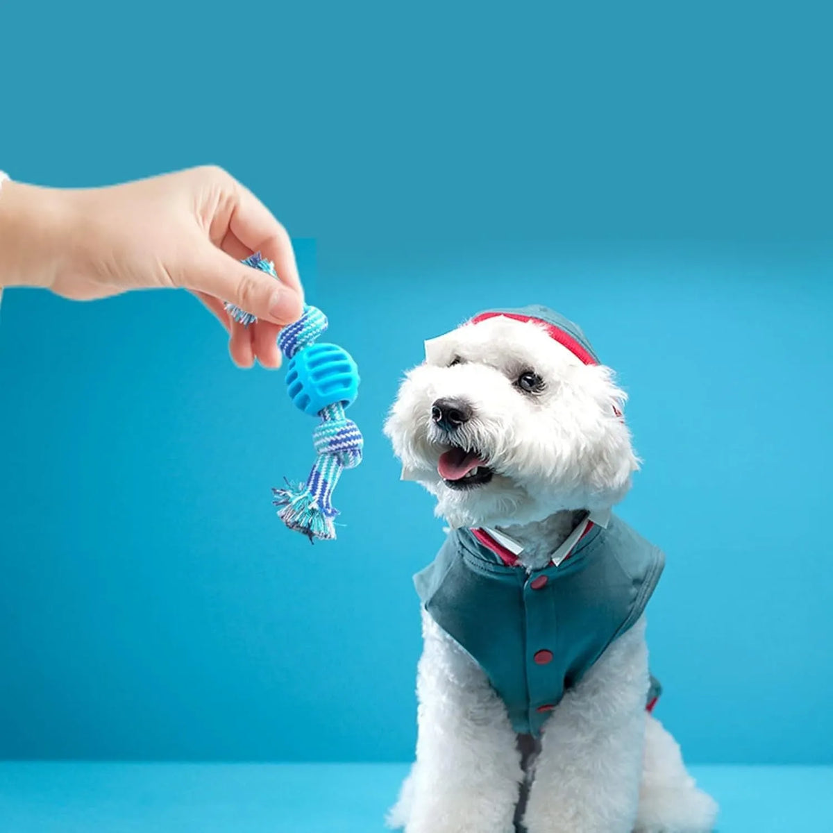 Blue dog chew toy with rope texture for cleaning teeth and oral health.