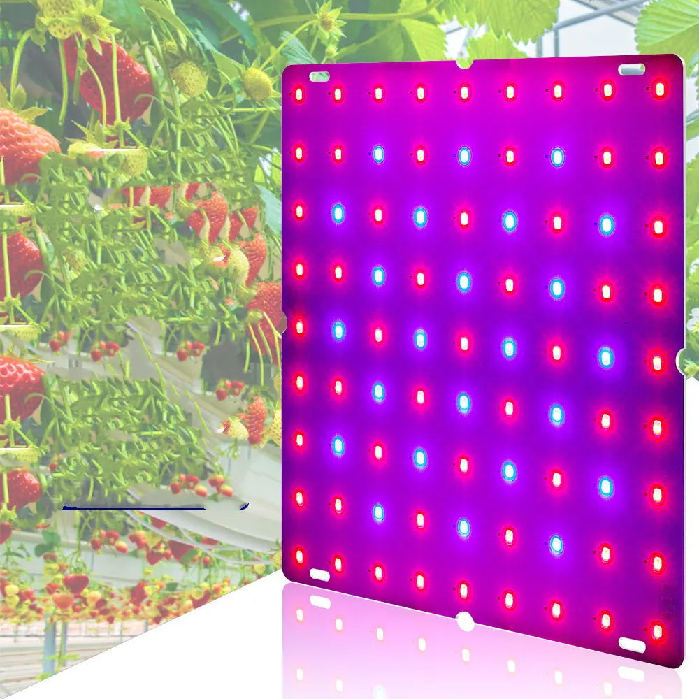 D-section bare board LED plant growth light with aluminium shell and hooks for indoor fruit and vegetable cultivation