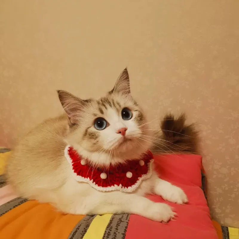Handmade cartoon-pattern knitted collar for pet cat, dog, or rabbit made from soft milk cotton yarn.