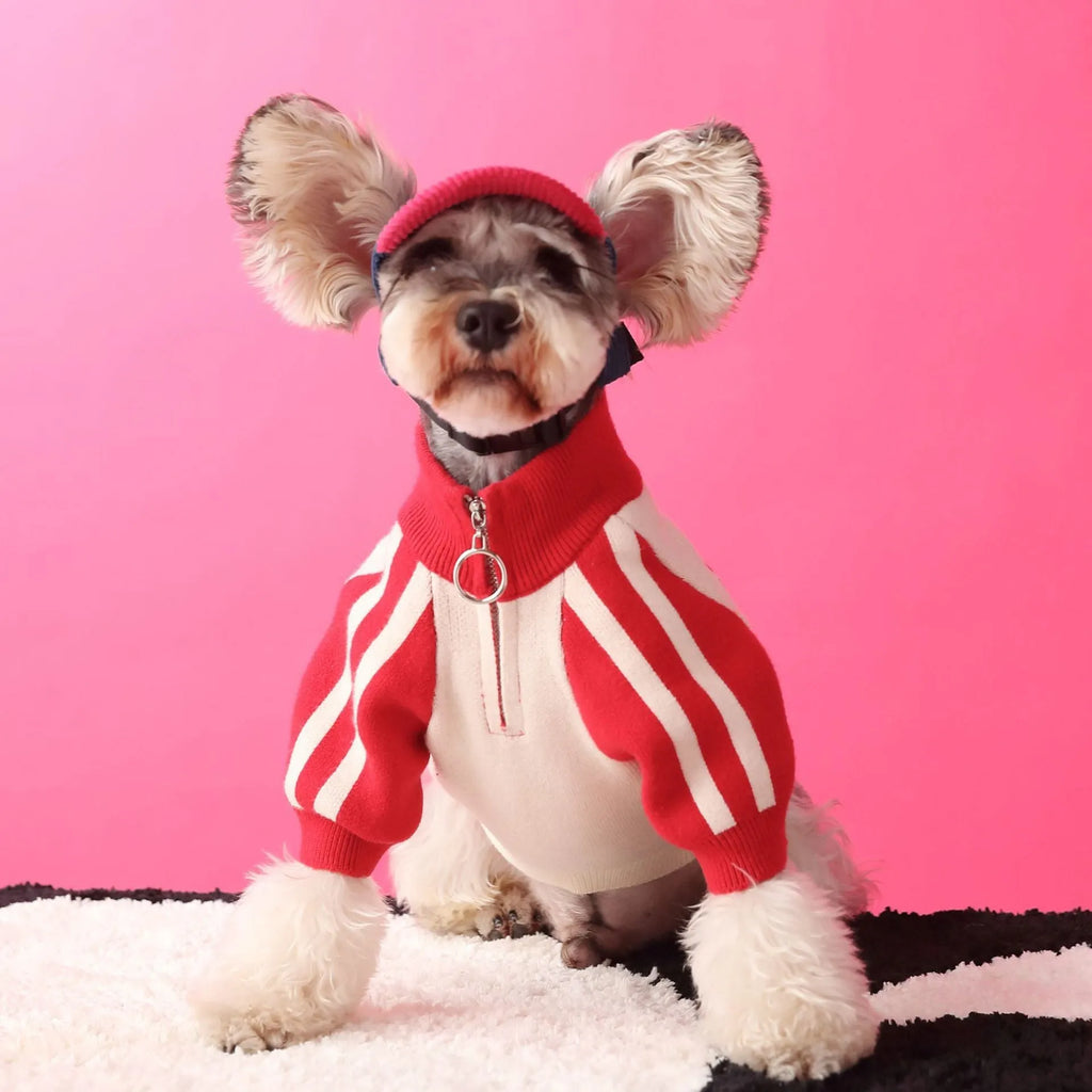 Red wool sports cardigan for dogs on mannequin showing casual pet clothing