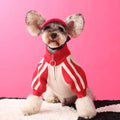 Red wool sports cardigan for dogs on mannequin showing casual pet clothing