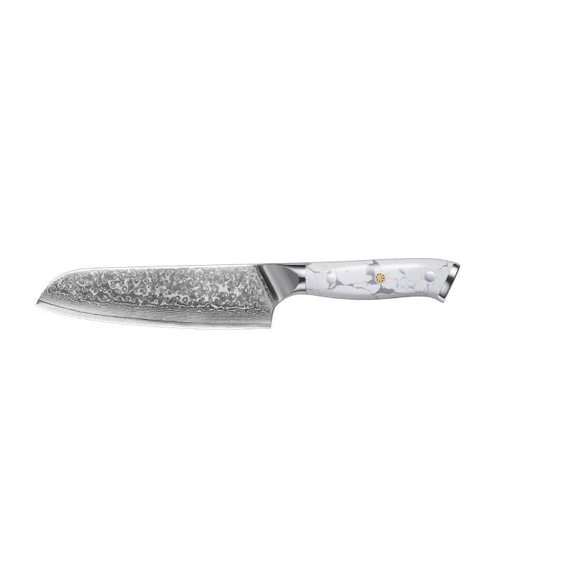 Damascus pattern chef knife with VG10 steel blade, 21cm cutting edge, modern handle design