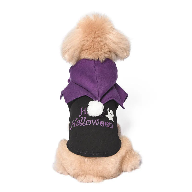 Black and orange Halloween pumpkin dog sweater and shawl set on model dog