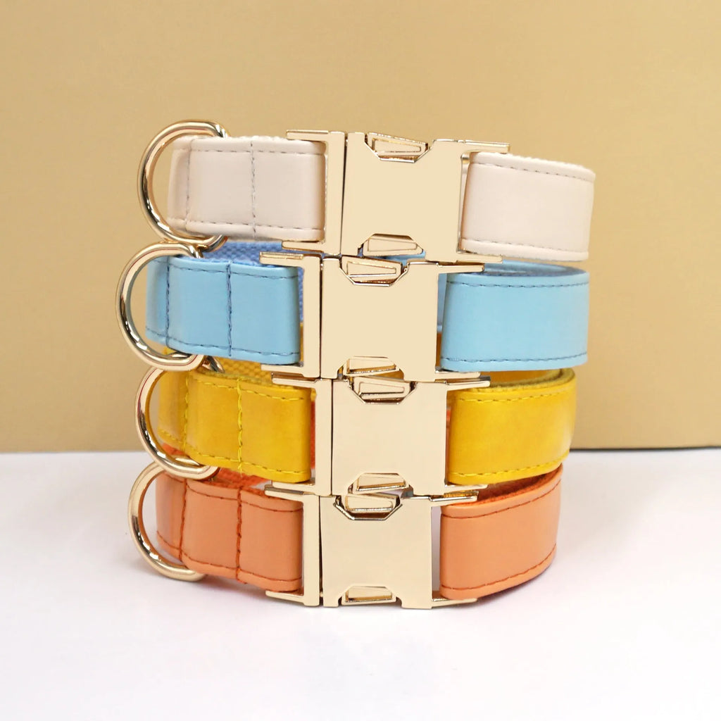Leather dog collar with colour-block velvet design shown in multiple colour options