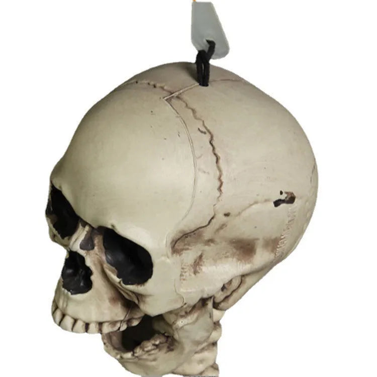 170cm tall plastic skeleton prop with articulated joints and detailed skull