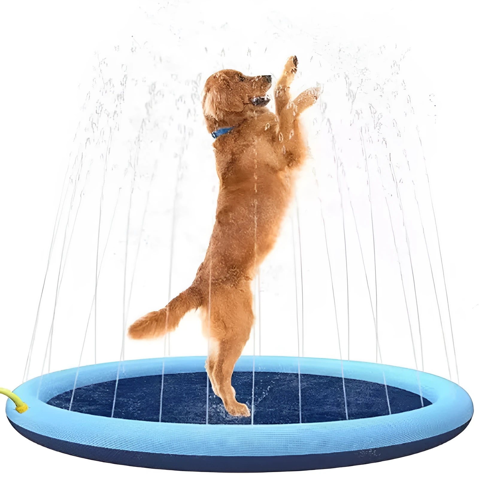Anti-slip dog splash pad and swimming mat outdoor toy in a garden setting.
