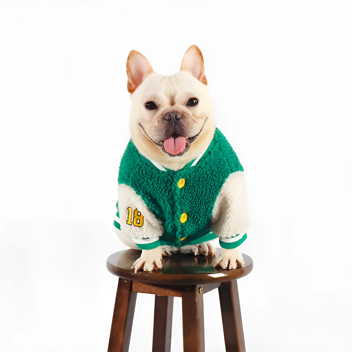 Green fleece-lined dog winter coat shown on model dog