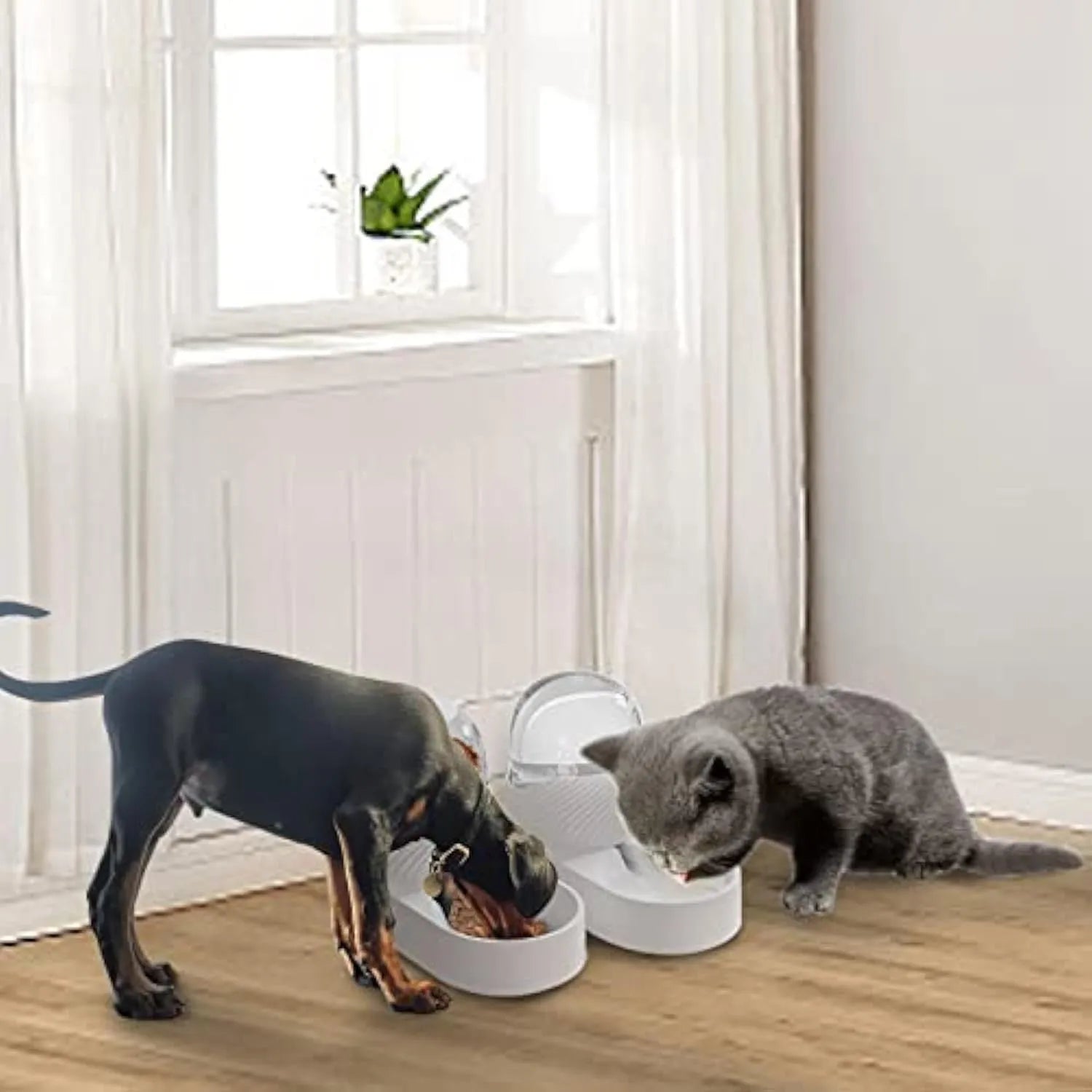 White automatic cat feeder and water dispenser set with wave-shaped design, two 2L bowls.