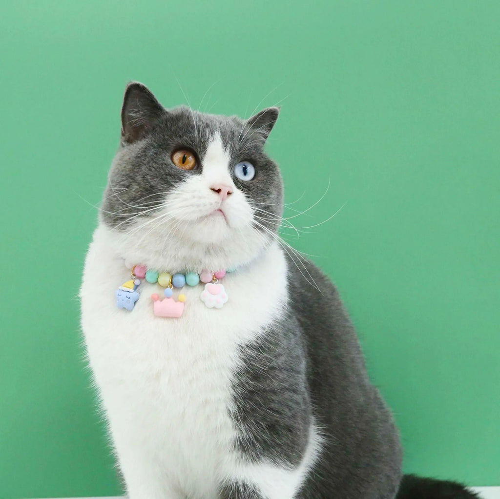 Macaron-colour resin collar and bracelet set for a small dog, showing the matching necklace.