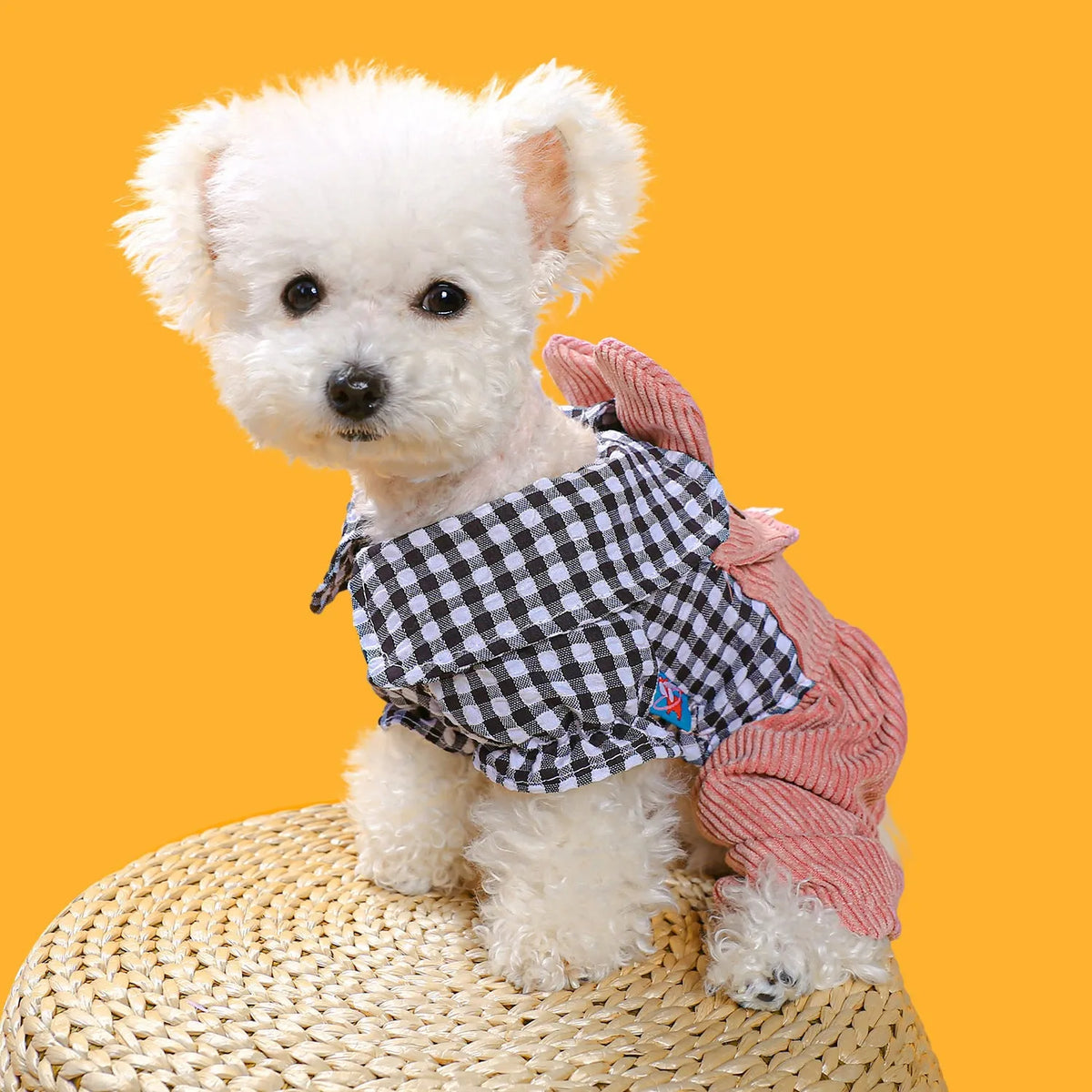 Four-legged plaid dog overalls in polyester, black grid or vermicelli top, sizes XS to XL