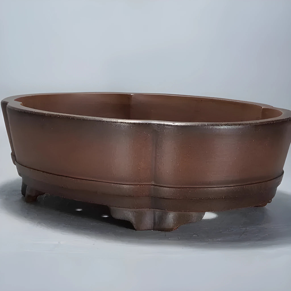 Classical purple clay bonsai pot with green plant old pile design measuring 50cm long