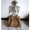 170cm tall plastic skeleton prop with articulated joints and detailed skull
