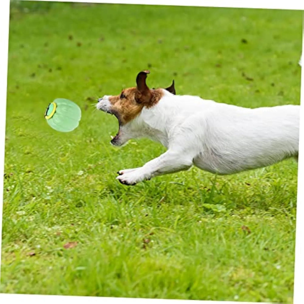 Plastic orange pumpkin-shaped dog chew toy with squeaker for small dogs on a green background.