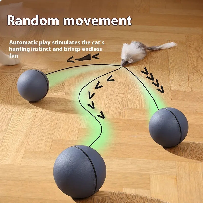 Automatic cat teasing ball with plush mouse in blue orange or dark grey colours