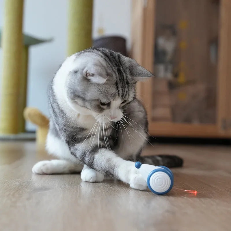 Blue and yellow automatic electric cat mouse toy with USB charging, 60x50x36mm body and 135mAh battery