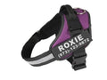 Personalized no-pull dog harness in black with reflective straps and adjustable chest strap