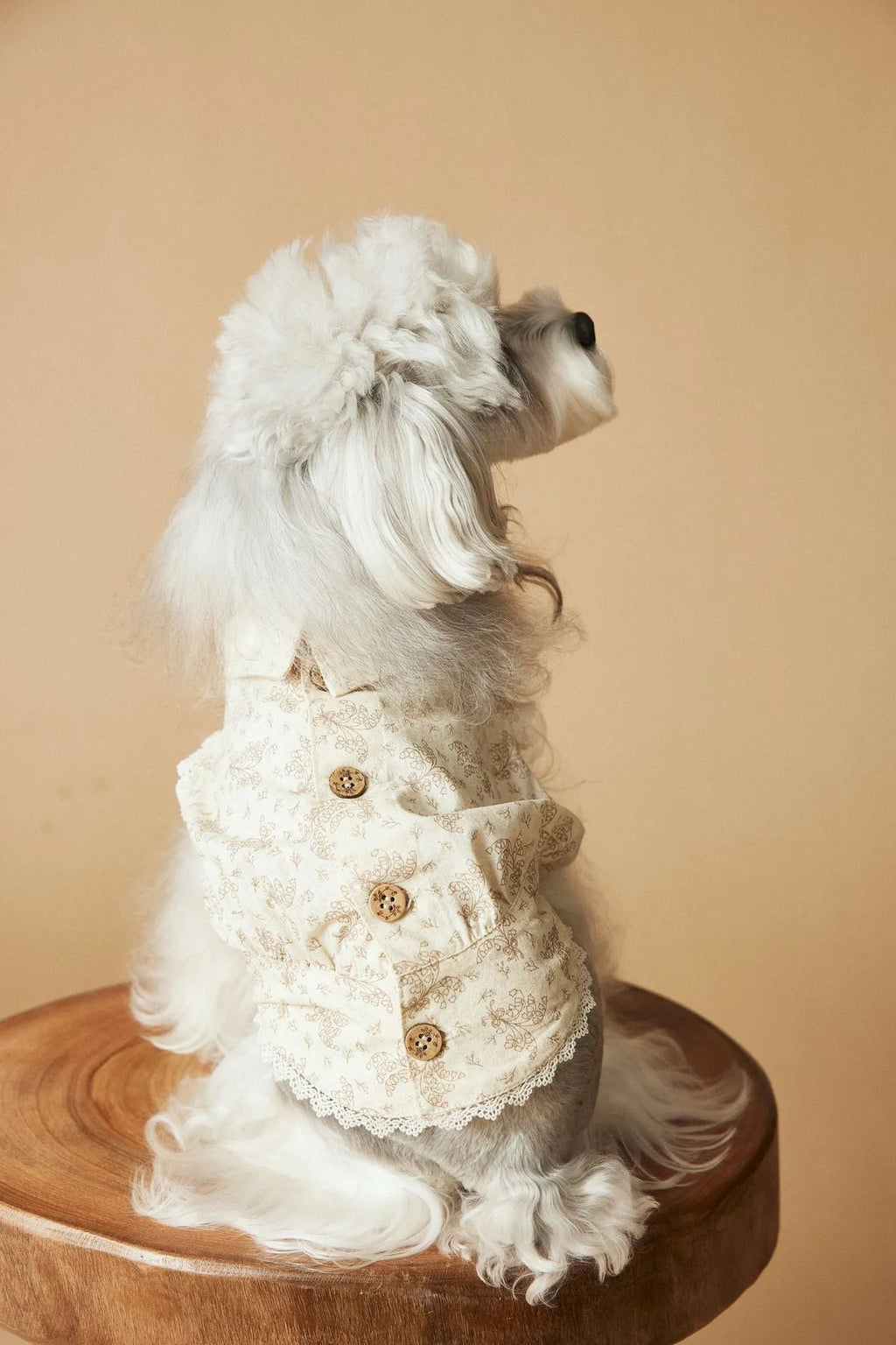 Cotton printed sleeveless dress for small dogs Teddy Schnauzer Bichon Yorkshire