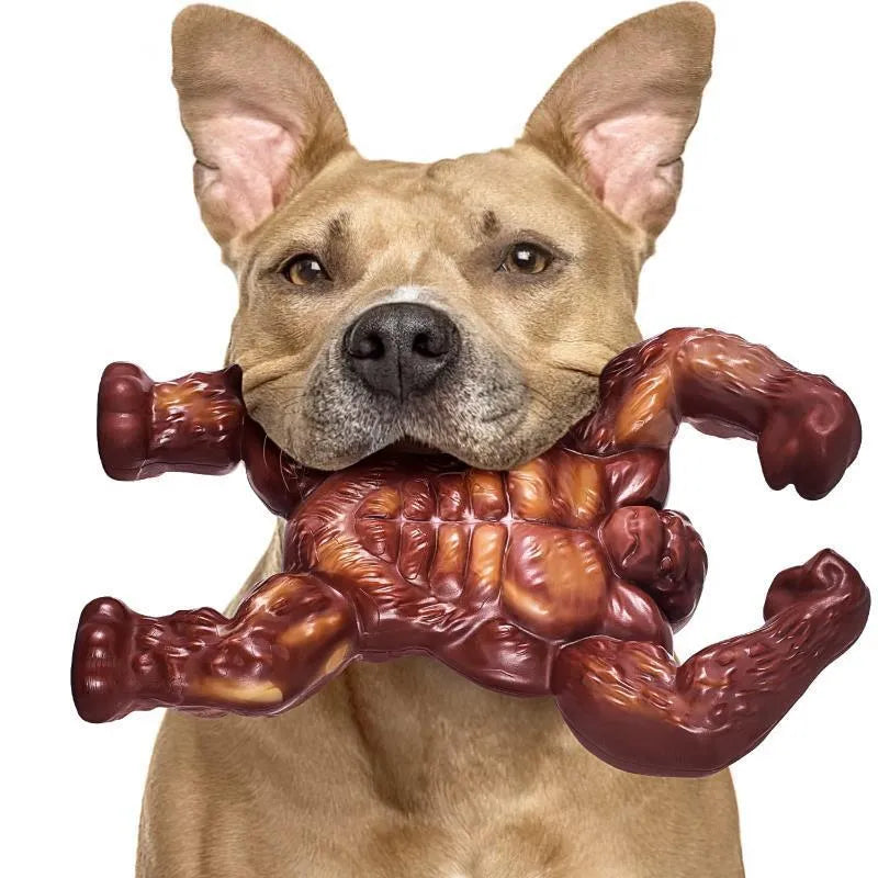Scarlet red nylon dog molar nibbling toy with beef flavour scent for dental cleaning