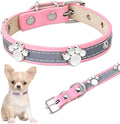 Reflective leather dog collar with a metal paw rivet, shown on an adjustable buckle.