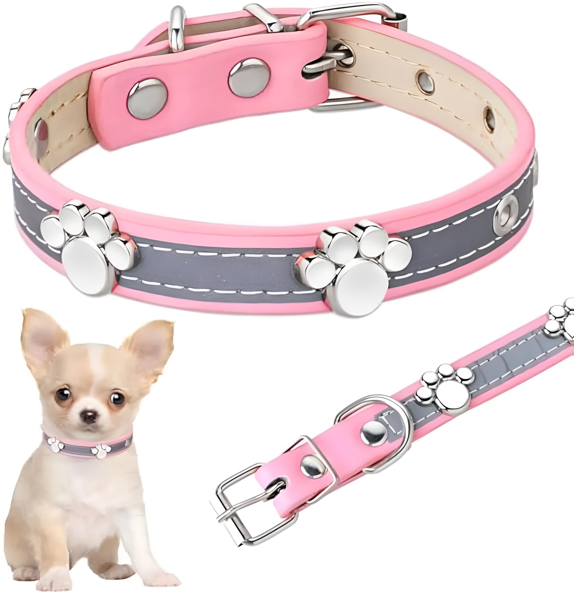 Reflective leather dog collar with a metal paw rivet, shown on an adjustable buckle.