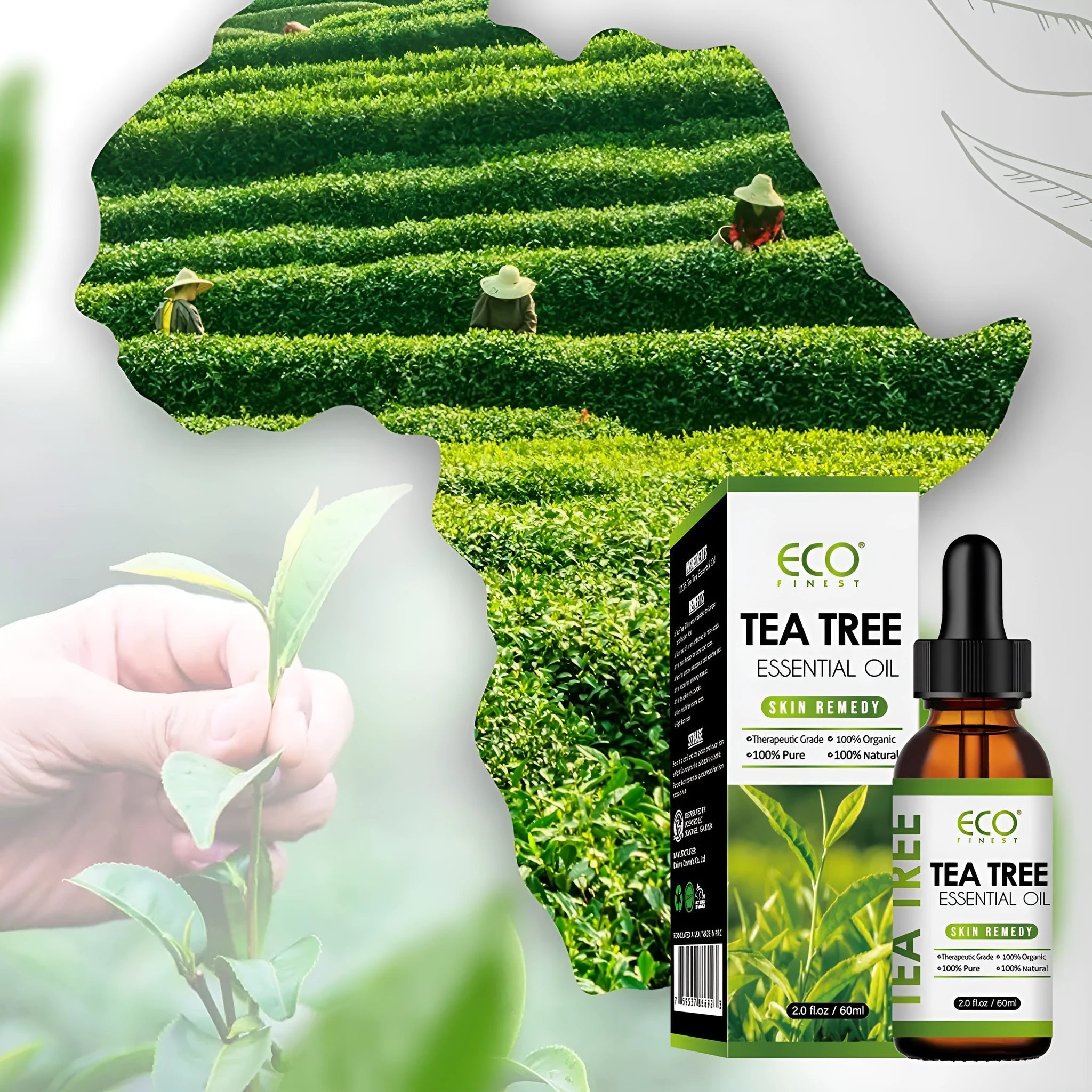 60ml glass bottle of pure tea tree essential oil with a dropper for skincare and aromatherapy