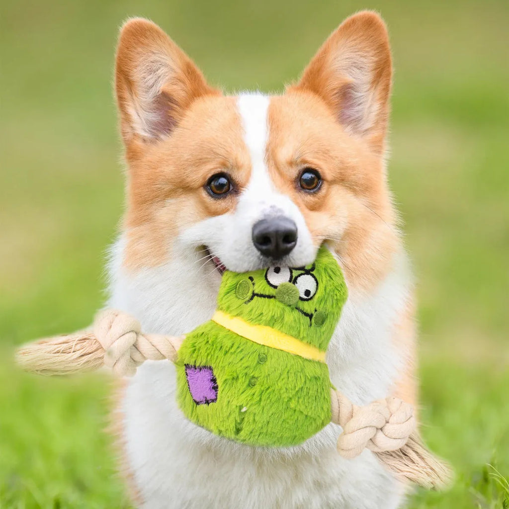 Green and purple interactive dog toy with plush rope knot for tug-of-war and dental cleaning features
